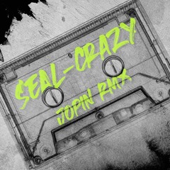 Seal - Crazy (Jopin Remix)