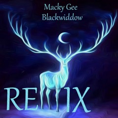 Macky Gee - Black Widdow Remix [free download]