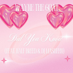 Did You Know (feat. Half Breed & DJ Masheen)