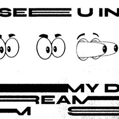 see u in my dreams // vinyl