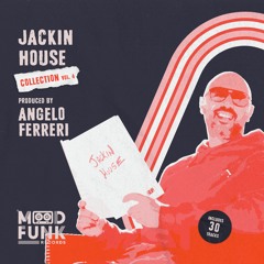 Angelo Ferreri & Red Met - COULD YOU PLAY // MFR343