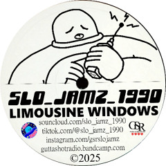 limousine windows
