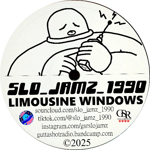 limousine windows