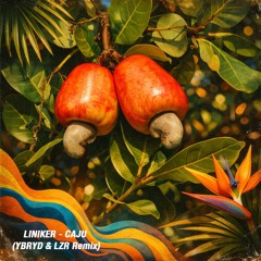 Liniker - Caju (YBRYD & LZR Remix)