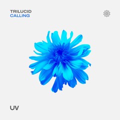 Trilucid - Calling (Original Mix) [UV]