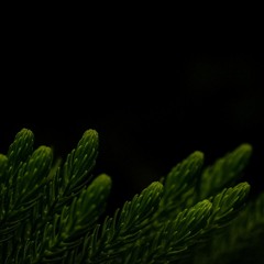 Joggers April Homework 1