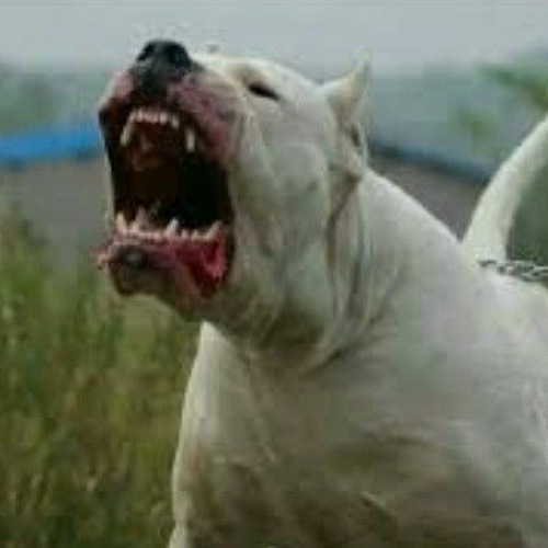 M-I Bastard Rmx (2022)