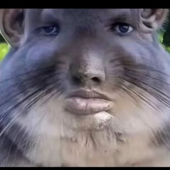 WKNDMIX