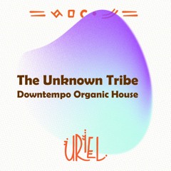 The Unknown Tribe - Downtempo Organic House / Live Mix