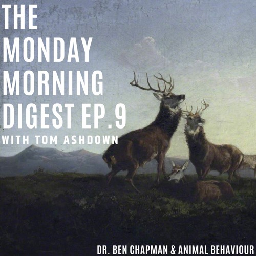 The Monday Morning Digest Ep. 9 - Dr Ben Chapman & Animal Behaviour
