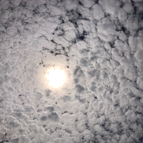 SoundCloud Favourites - Playlist 4 (06.08.2023)