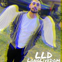 LongLiveDom