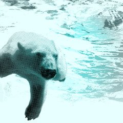 tsuchinoko 謁日永