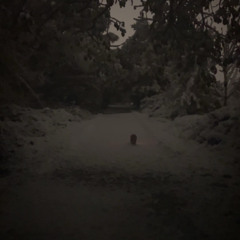 Acid soaked snowflakes