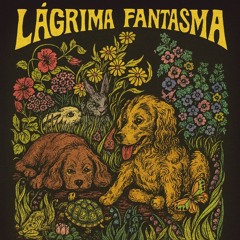 Lágrima Fantasma - December 6, 2025