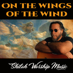 On The Wings Of The Wind