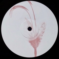 Premiere : DAT (Italy) - Otitio (Bandcamp exclusive)