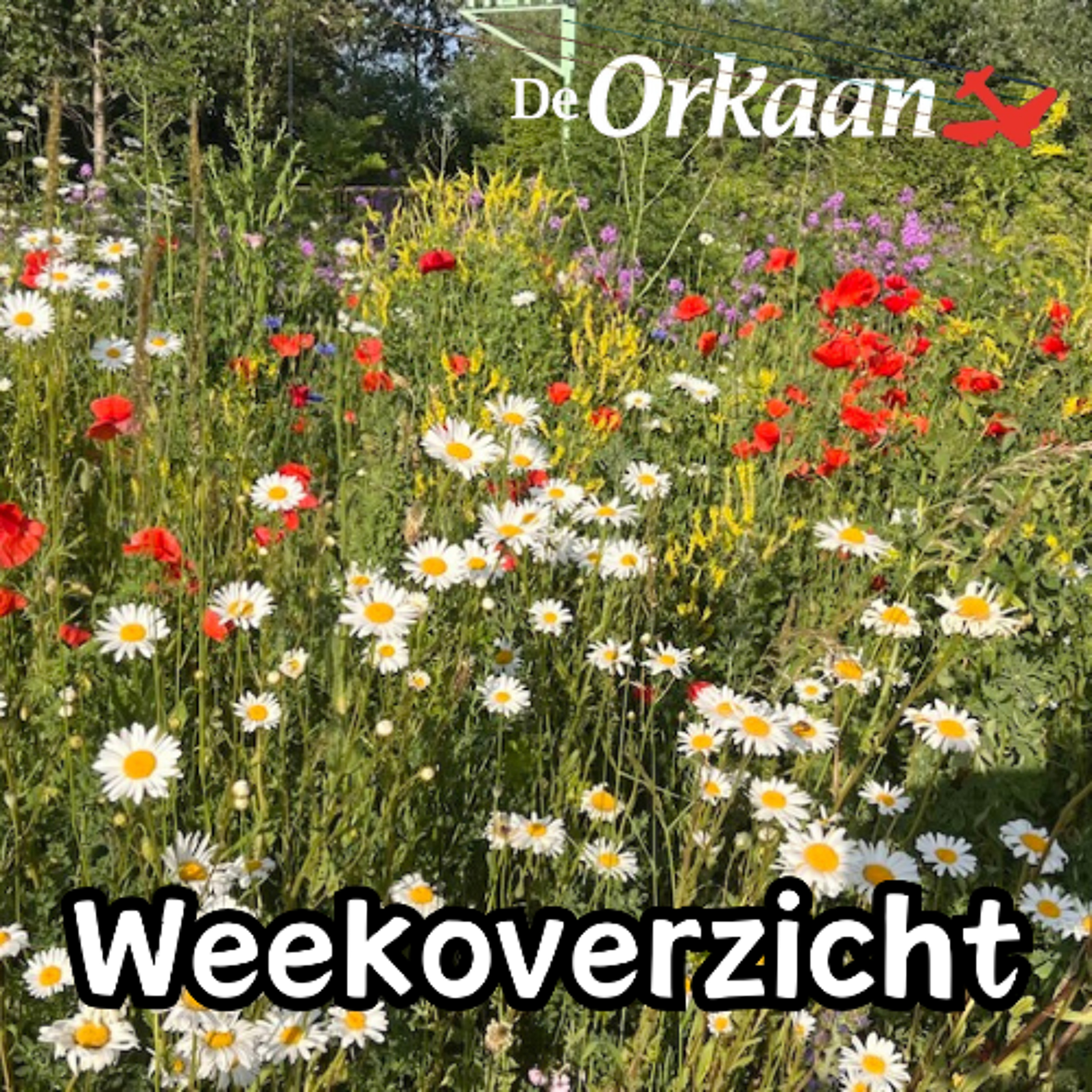 De Week van De Orkaan - af. 22 - 6 juni 2026