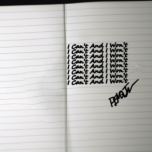 i can't and i won't (prod. Tjay)