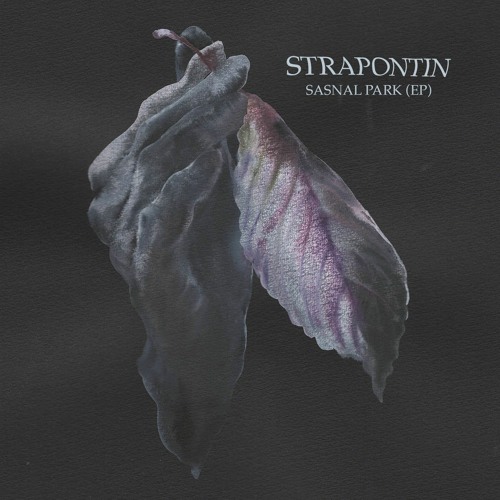 PREMIERE: Strapontin - Family Diner [Abstrack Records]