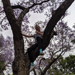 Vibe Dev & Shaggy - 5/25/20 4.24 AM