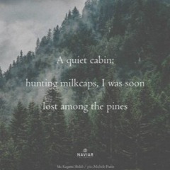 haiku #624: A quiet cabin; / hunting milkcaps, I was soon / lost among the pines