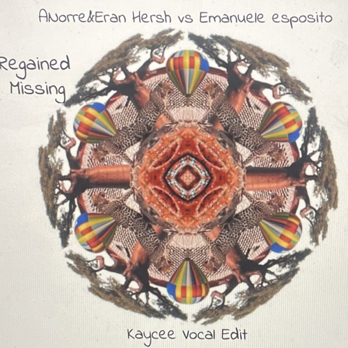 Eran Hersh & Anorre - Regained X Missing [kaycee edit] pitched