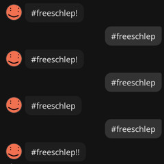 #freeschlep