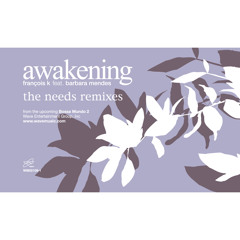 Awakening (Needs Body Check) [feat. Barbara Mendes]