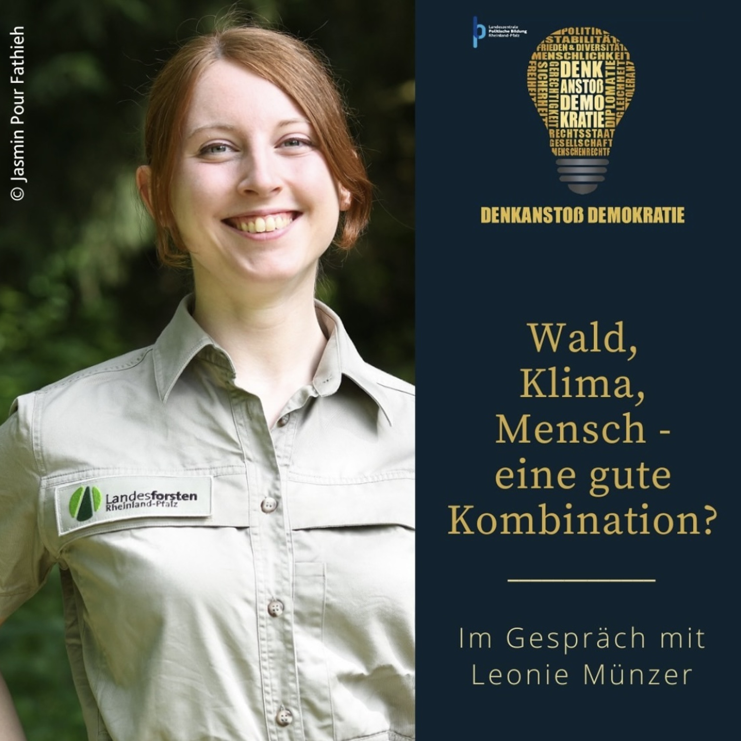 Denkanstoß Demokratie
