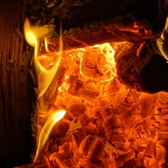 Forest Fire (Lloyd Cole Cover)