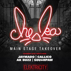 support for cheska-MAIN STAGE TAKEOVER