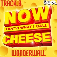 JGS & Aka - Wonderwall (Sample)
