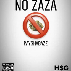 @payshabazzalini- NO ZAZA(prod.PLIV)