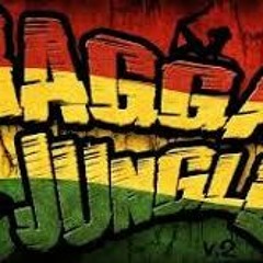 Ragga Jungle- DnB Mix Rastafari Roots Vol. 10 (mixed By KingWupp (YT) Audio