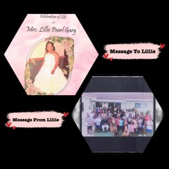 Terror - Message To Lillie / Message From Lillie (Tribute)