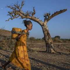 "Ethiopia Needs Multinational Federation, not Culturally Genocidal Central Government"
