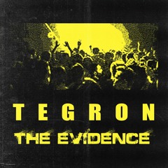 TEGRON - THE EVIDENCE [FD]