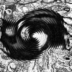 Copy of Sélection de El Yawn