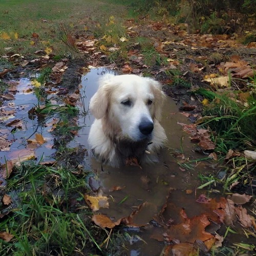 Methods of Mellow - January 2023