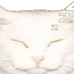 r0t