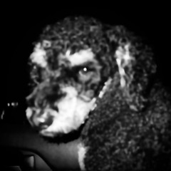 Torture Of A Life Without Meaning