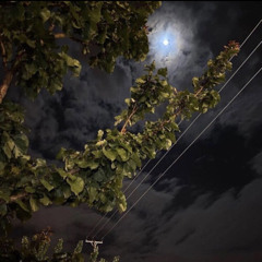 ضحكتك سر السعادة ❤️