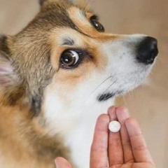 pill me demo [neohn]