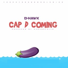 D - HAWK- CAP D