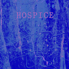 Hospice - Split