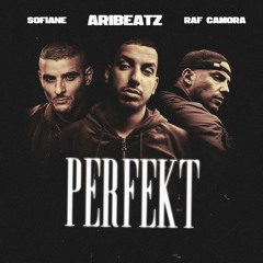 Perfekt (feat. Sofiane)