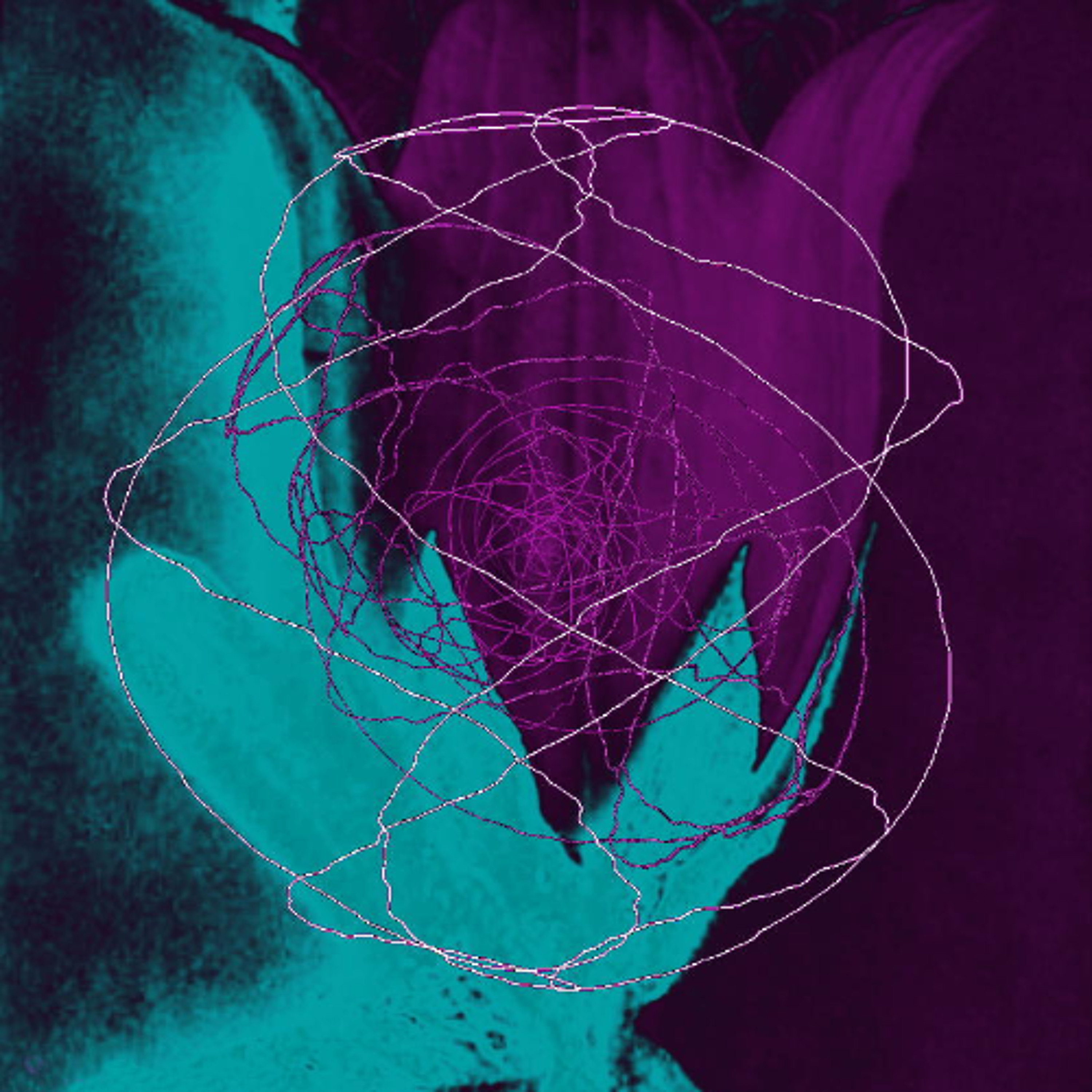 PLATO No. 11152 Dorian Daydreams episode artwork