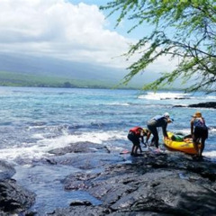 Best Captain Cook Kealakekua Bay Tours Review