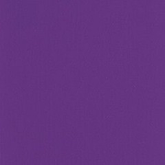 플라밍고 ft.Sasa (2017)